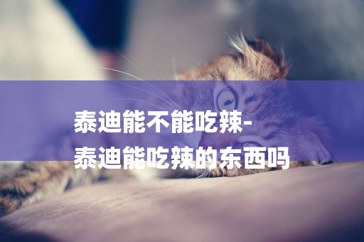 泰迪能不能吃辣-
泰迪能吃辣的東西嗎