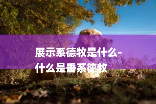 展示系德牧是什么-
什么是垂系德牧