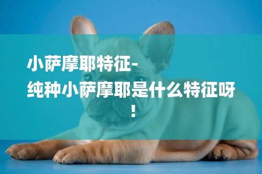小薩摩耶特征-
純種小薩摩耶是什么特征呀！