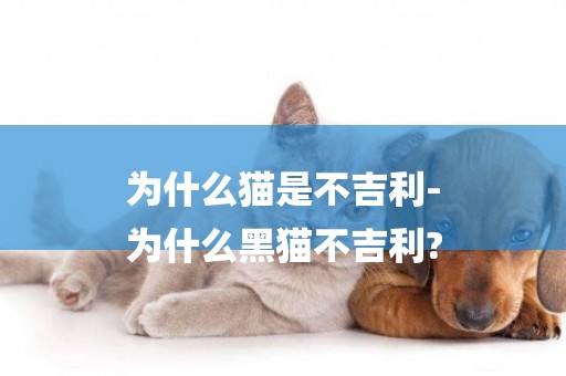 為什么貓是不吉利-
為什么黑貓不吉利?