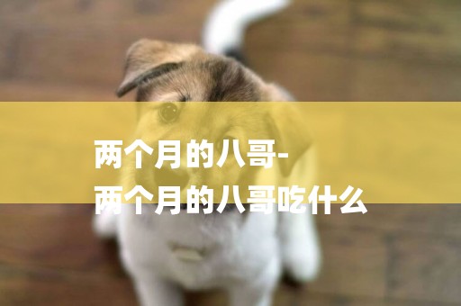 兩個月的八哥-
兩個月的八哥吃什么