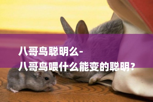 八哥鳥聰明么-
八哥鳥喂什么能變的聰明？