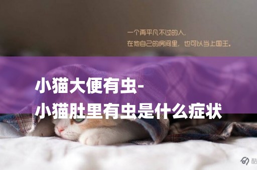 小貓大便有蟲-
小貓肚里有蟲是什么癥狀