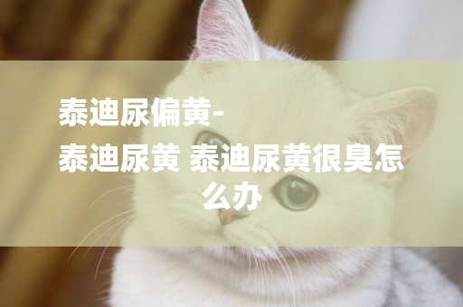 泰迪尿偏黃-
泰迪尿黃 泰迪尿黃很臭怎么辦