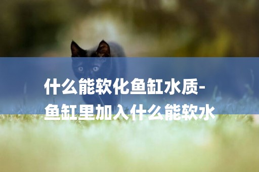 什么能軟化魚缸水質-
魚缸里加入什么能軟水
