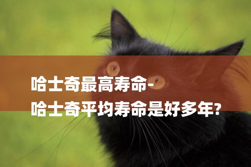 哈士奇最高壽命-
哈士奇平均壽命是好多年?