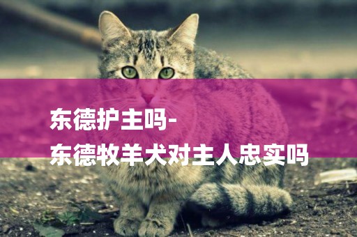東德護主嗎-
東德牧羊犬對主人忠實嗎
