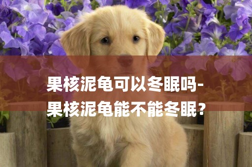 果核泥龜可以冬眠嗎-
果核泥龜能不能冬眠？
