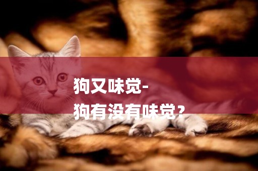 狗又味覺-
狗有沒有味覺？