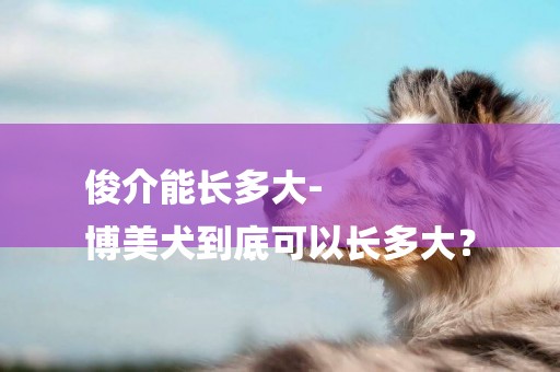 俊介能長多大-
博美犬到底可以長多大？