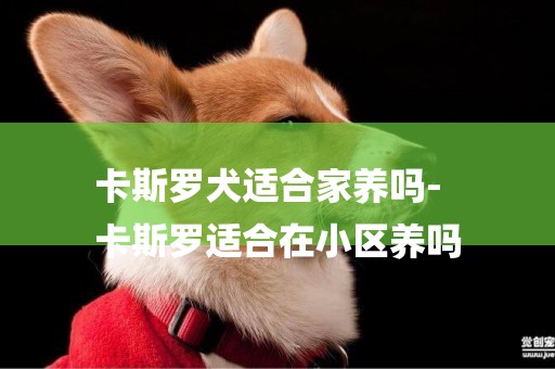卡斯羅犬適合家養嗎-
卡斯羅適合在小區養嗎
