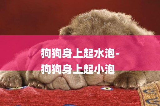 狗狗身上起水泡-
狗狗身上起小泡