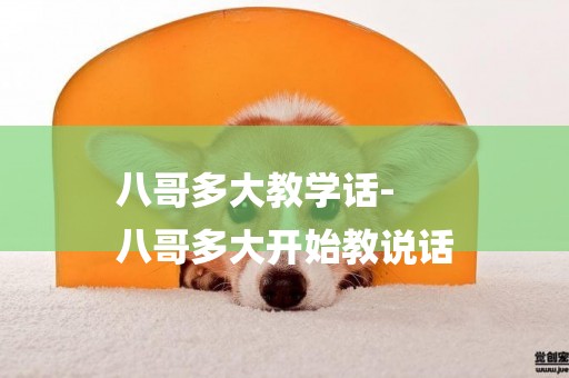 八哥多大教學話-
八哥多大開始教說話