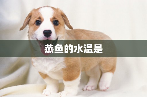 燕魚的水溫是