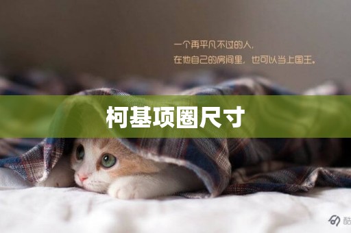 柯基項圈尺寸