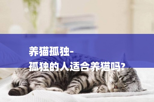 養貓孤獨-
孤獨的人適合養貓嗎?