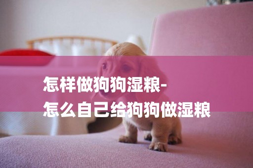 怎樣做狗狗濕糧-
怎么自己給狗狗做濕糧