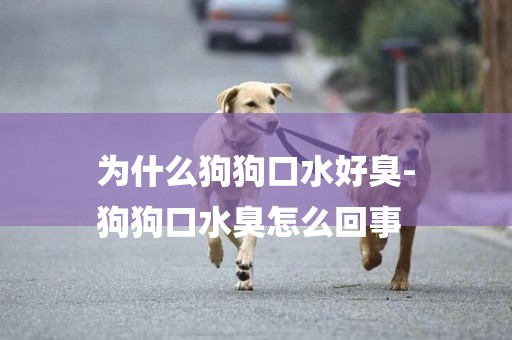 為什么狗狗口水好臭-
狗狗口水臭怎么回事