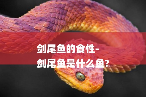 劍尾魚的食性-
劍尾魚是什么魚?