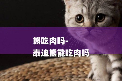 熊吃肉嗎-
泰迪熊能吃肉嗎