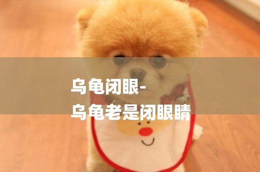 烏龜閉眼-
烏龜老是閉眼睛