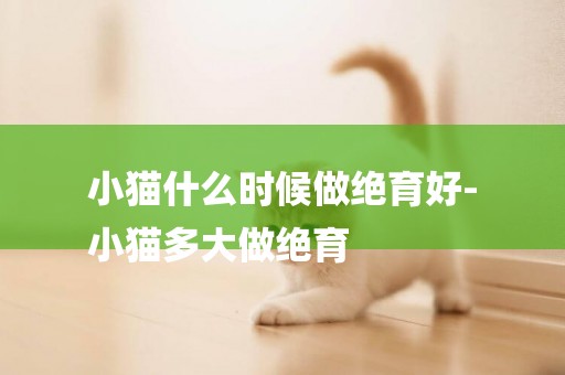 小貓什么時候做絕育好-
小貓多大做絕育