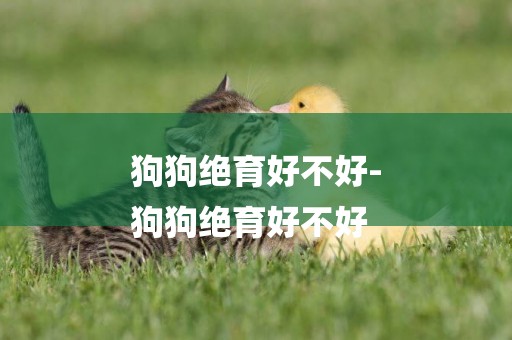 狗狗絕育好不好-
狗狗絕育好不好