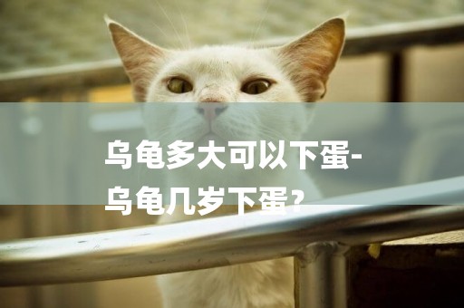 烏龜多大可以下蛋-
烏龜幾歲下蛋？