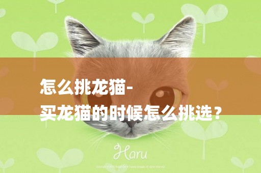 怎么挑龍貓-
買龍貓的時候怎么挑選？