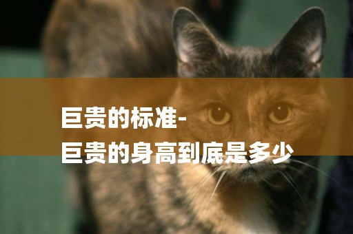 巨貴的標準-
巨貴的身高到底是多少 巨貴的標準-
巨貴的身高到底是多少