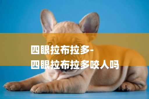 四眼拉布拉多-
四眼拉布拉多咬人嗎