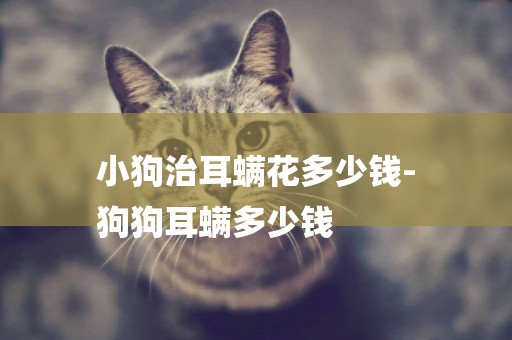 小狗治耳螨花多少錢-
狗狗耳螨多少錢