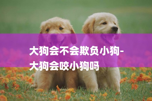 大狗會不會欺負小狗-
大狗會咬小狗嗎