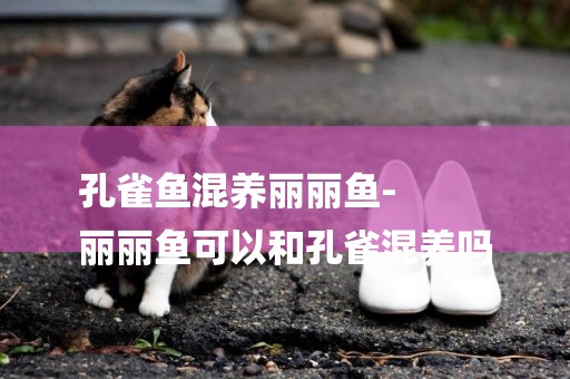 孔雀魚混養麗麗魚-
麗麗魚可以和孔雀混養嗎