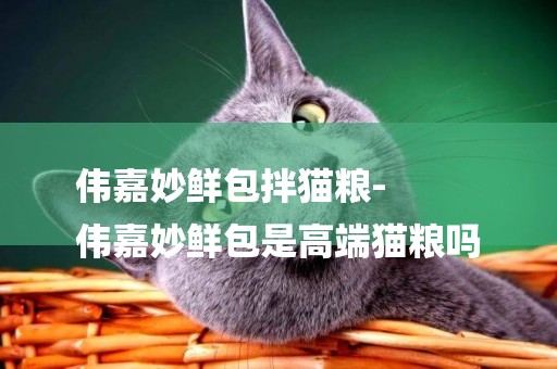 偉嘉妙鮮包拌貓糧-
偉嘉妙鮮包是高端貓糧嗎