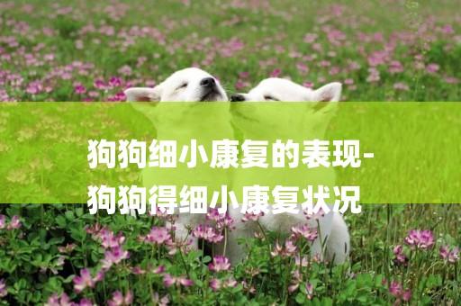 狗狗細小康復的表現-
狗狗得細小康復狀況