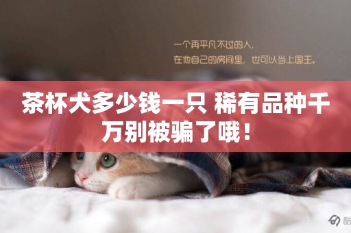 茶杯犬多少錢一只 稀有品種千萬別被騙了哦！