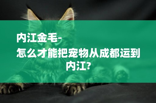 內江金毛-
怎么才能把寵物從成都運到內江?