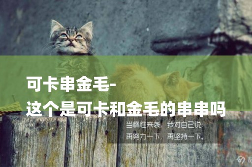 可卡串金毛-
這個是可卡和金毛的串串嗎