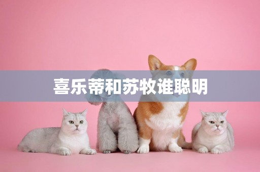 喜樂蒂和蘇牧誰聰明