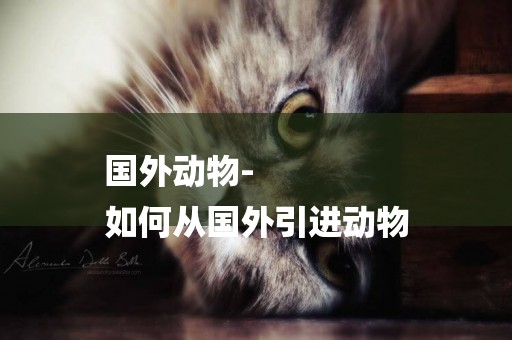 國外動物-
如何從國外引進動物