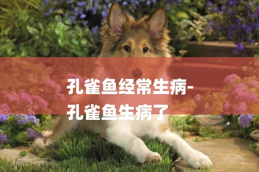 孔雀魚經常生病-
孔雀魚生病了
