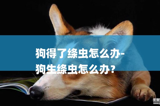 狗得了絳蟲怎么辦-
狗生絳蟲怎么辦？