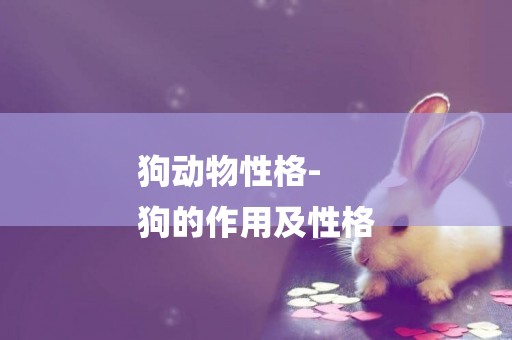 狗動物性格-
狗的作用及性格