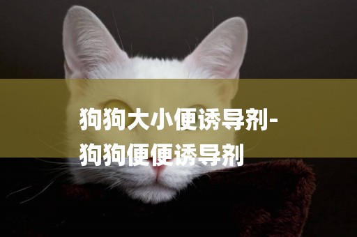 狗狗大小便誘導劑-
狗狗便便誘導劑