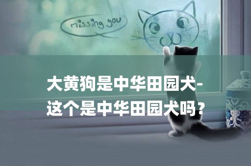 大黃狗是中華田園犬-
這個是中華田園犬嗎？