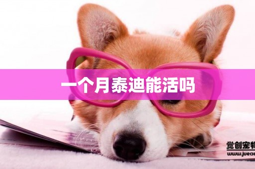 一個月泰迪能活嗎