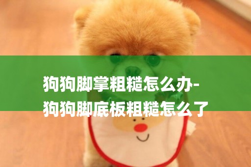 狗狗腳掌粗糙怎么辦-
狗狗腳底板粗糙怎么了