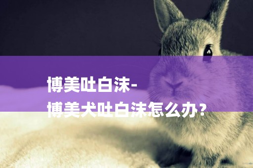 博美吐白沫-
博美犬吐白沫怎么辦？