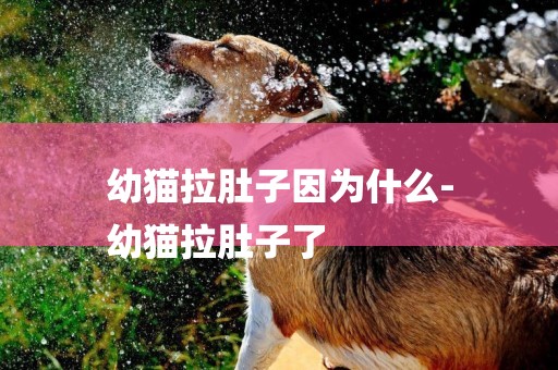 幼貓拉肚子因為什么-
幼貓拉肚子了
